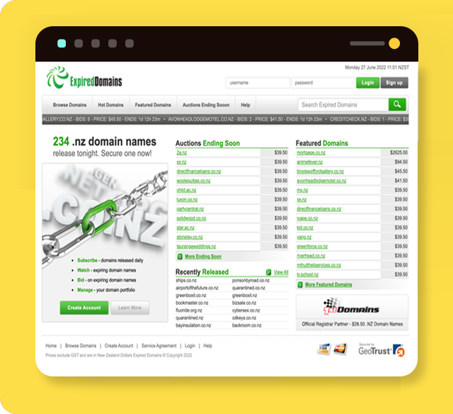 Buy Expired Domains