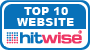Hitwise Top 10 Website January - June 2010